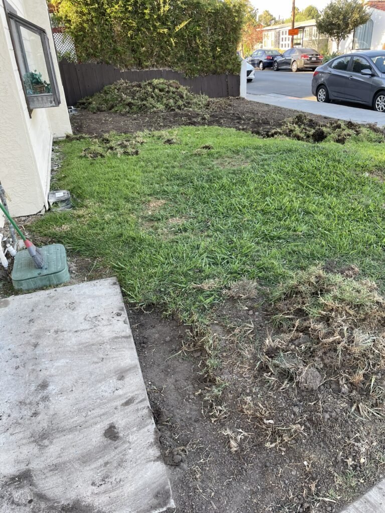 landscape services sod removal