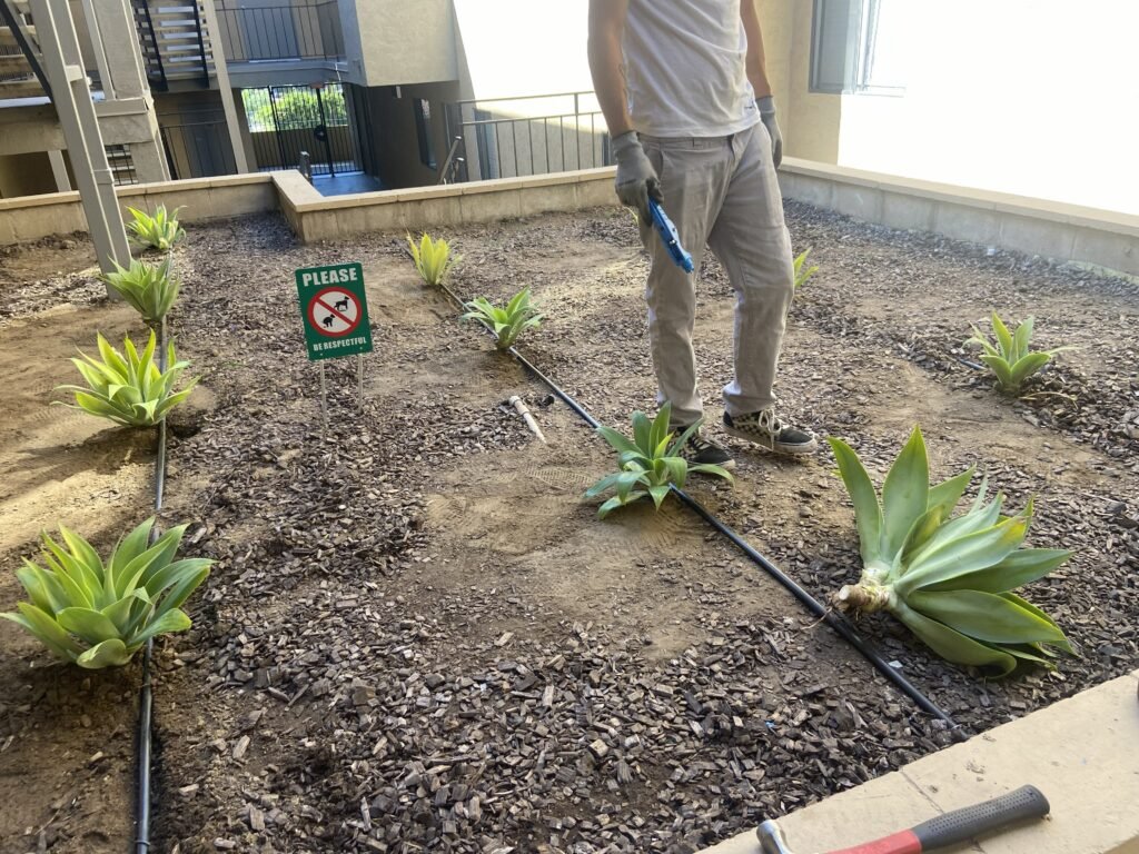 Plant landscaping san diego
